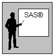 Base SAS programming