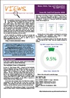 VIEWS News 82 (2026Q2/3) has been published!